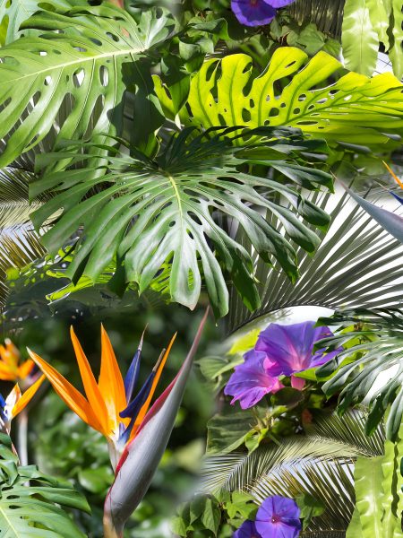 αλέκιαστο ύφασμα Floral clip art με χρώματα Τροπικό φόντο με φοίνικα, μπανάνα, φύλλα άνθη λουλουδιών