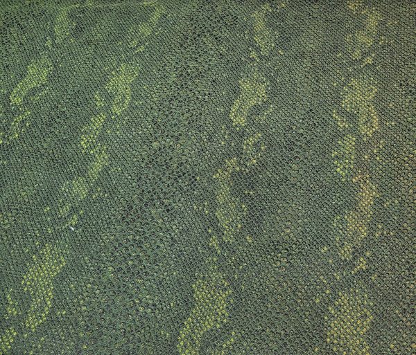 ύφασμα επίπλωσης κουρτίνας πράσινο κυπαρισσί σχέδιο φίδι ώχρα